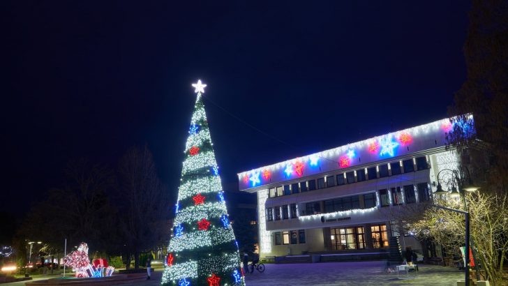 Огромна елха украси центъра на Севлиево