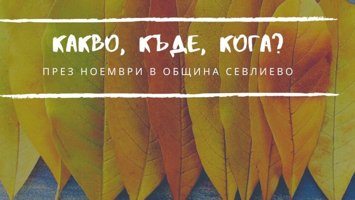 ПРОГРАМА НА КУЛТУРНИТЕ СЪБИТИЯ – НОЕМВРИ 2025